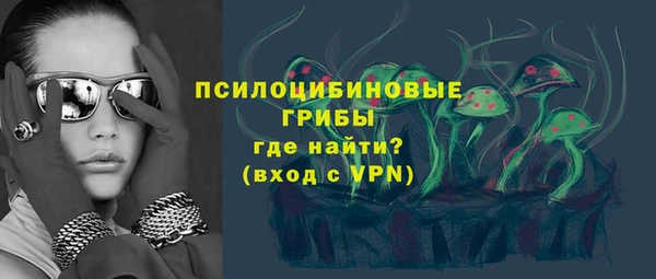 apvp Верхний Тагил