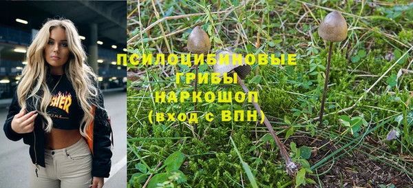 ешки Верея