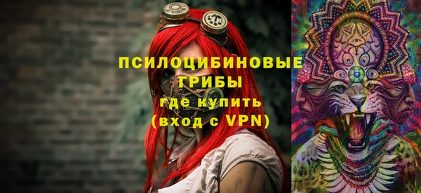 PSILOCYBIN Верхнеуральск