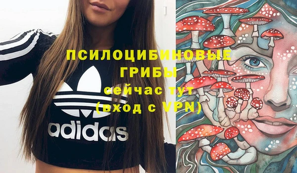 apvp Верхний Тагил