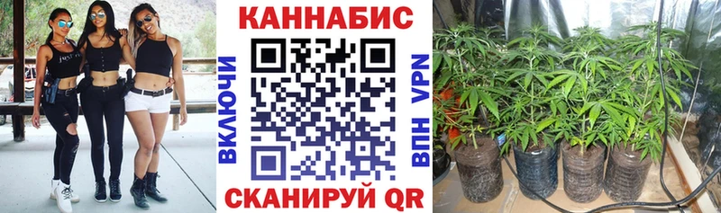 Шишки марихуана Bruce Banner  Канск 